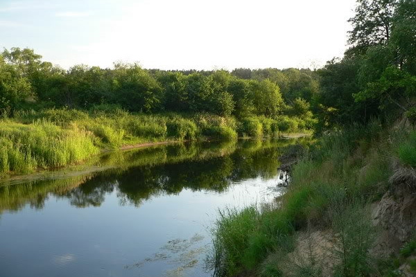 Вода в реках Латгалии прогрелась до 20 градусов  