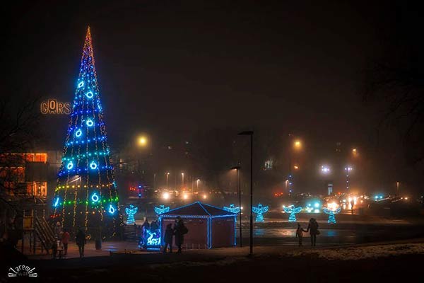 График работы ярмарки и домика Деда Мороза в Фестивальном парке