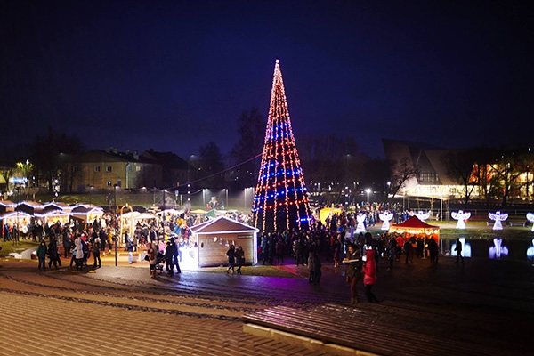 В Фестивальном парке торжественно зажгли главную городскую елку города (фото, видео)