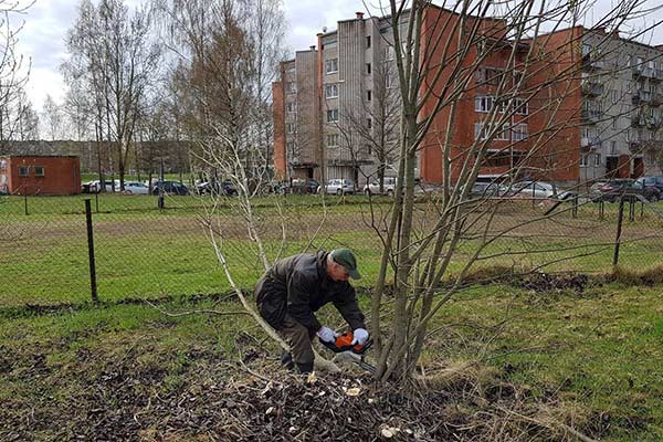 27 апреля пройдет Большая толока