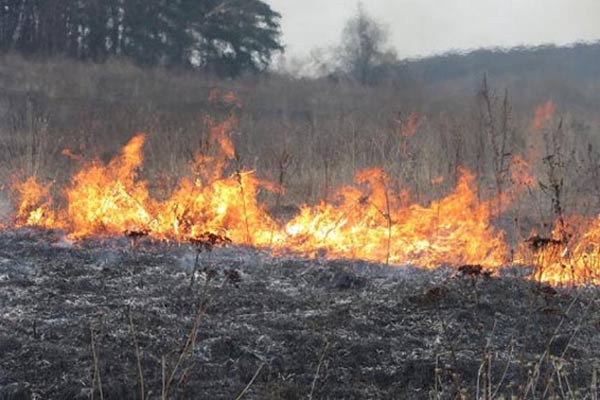 В Резекненском крае горело 100 га сухой травы