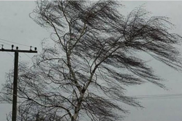 В Латгалии сотрудники ГПСС убирают с дорог упавшие деревья, без электричества — 431 домашнее хозяйство  