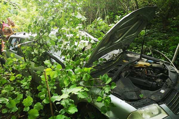 Смертельное ДТП под Резекне: машину после столкновения с лосем нашли спустя несколько часов