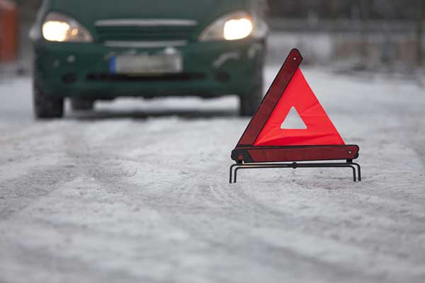 В канун Нового года в Резекненском крае сбили оленя