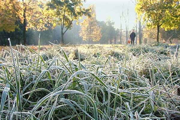 В Латвии возможны первые заморозки