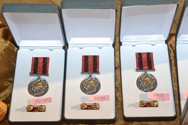 Лучшие пожарные награждены медалями (фото)