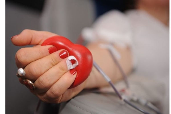 Неделя доноров крови: ваша кровь может спасти чью-то жизнь