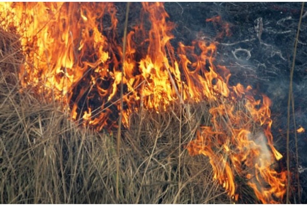 ГПСС: на улице Атбривошанас горели две копны сена и сухая трава