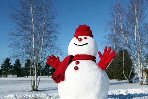 Портал 46.lv объявляет конкурс «Самый красивый снеговик»!
