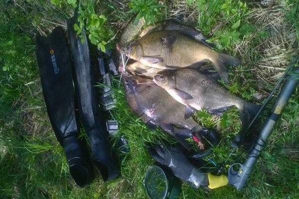 На озере Разна пресекли незаконную добычу рыбы