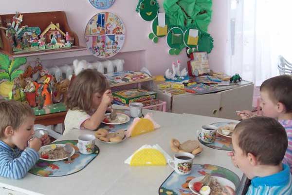 Найдено решение по льготам на питание в специальных детских садах