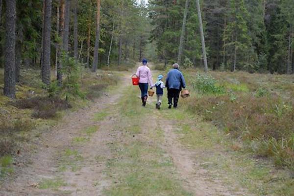 В Межвидской волости грибники нашли в лесу мертвую "латгальскую чупакабру"