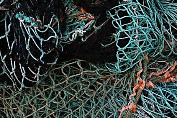Латвийским рыбакам могут закрыть доступ к зонам промысла крабов